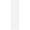 vidaXL TV stenska omara Bela 30 x 31 x 100 cm Konstruiran les