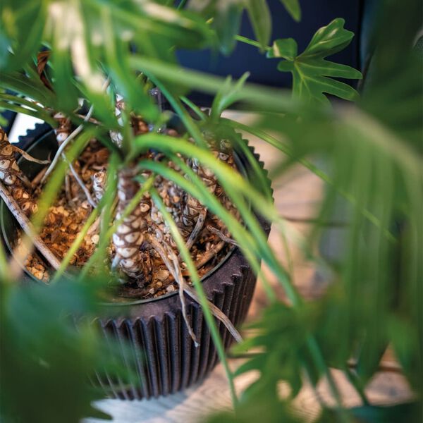 Capi Vaza elegant Groove 34x46 črna