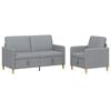 vidaXL Sofa set z shrambo 2 kos Svetlo siva Poliester