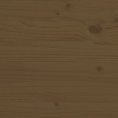 vidaXL Nočna omarica 2 kosa medeno rjava 40x34x55 cm trdna borovina