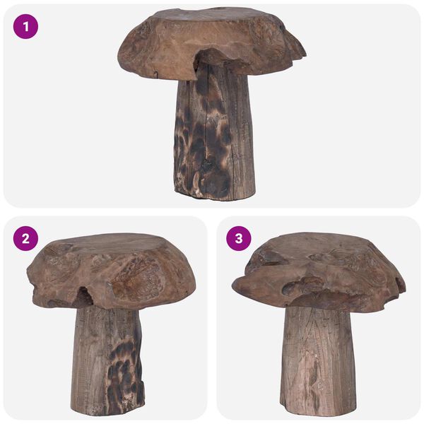 vidaXL Stolica Naravna 35 x 35 x 35 cm Trden tikov les