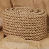 vidaXL Vrv iz 100 % jute 20 mm 50 m