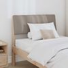 vidaXL Tapecirano vzglavje Taupe 75 cm Masivno borovo les
