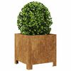 vidaXL Garden Planters 2 kosa 30x30x30 cm Weathering Steel