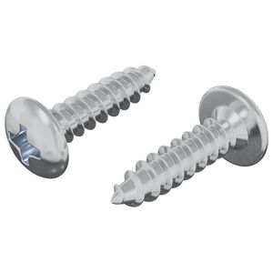 vidaXL Vijak 2 pcs srebrna M4 x 16 mm Jeklo