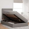 vidaXL Postelja z dodatnim prostorom za shranjevanje in LED osvetlitvijo