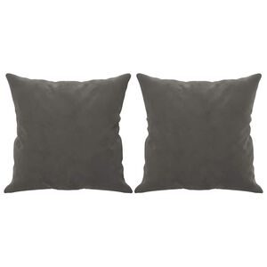 vidaXL Okrasna blazina 2 kosa temno siva 40x40 cm žamet