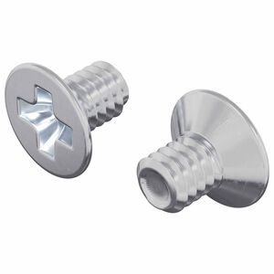 vidaXL Vijaki s countersunk glavico 2 pcs srebrna M4 x 6 mm Jeklo