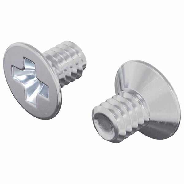 vidaXL Vijaki s countersunk glavico 2 pcs srebrna M4 x 6 mm Jeklo
