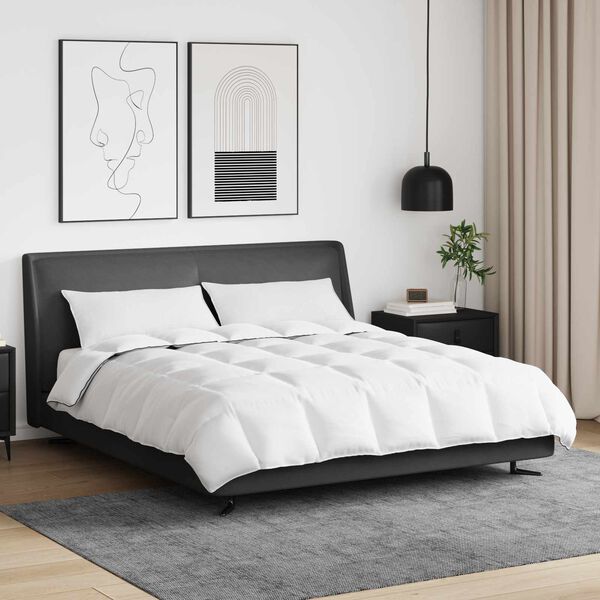 vidaXL Zimska posteljnina z blazino 3 pcs Bela Perje