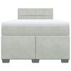 vidaXL Box spring postelja z vzmetnico svetlo siva 120x190 cm žamet
