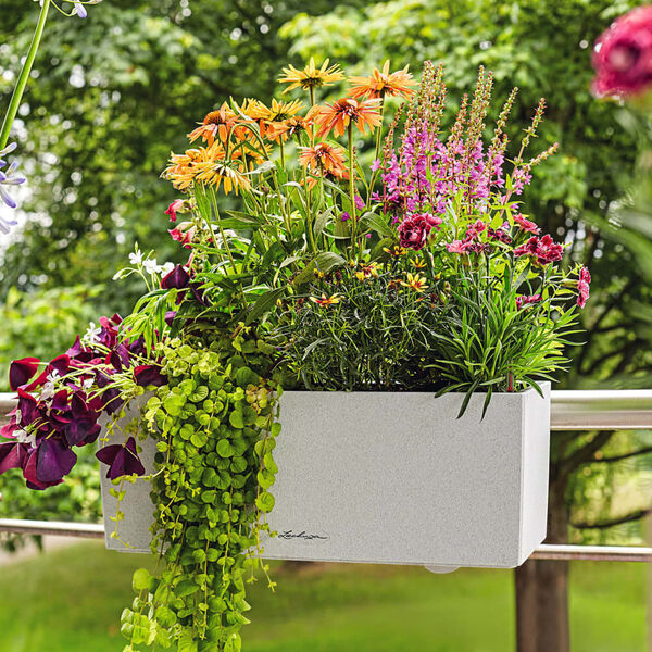 LECHUZA Cvetlično korito BALCONERA Stone 50 ALL-IN-ONE kremenčevo belo