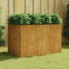 vidaXL Vrtna visoka greda 120x80x80 cm corten jeklo