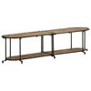 vidaXL TV omarica 160x42x40 cm trden robusten mangov les