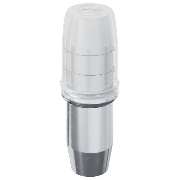 vidaXL Polica Peg 12 pcs srebrna 7 x 16 mm elezo