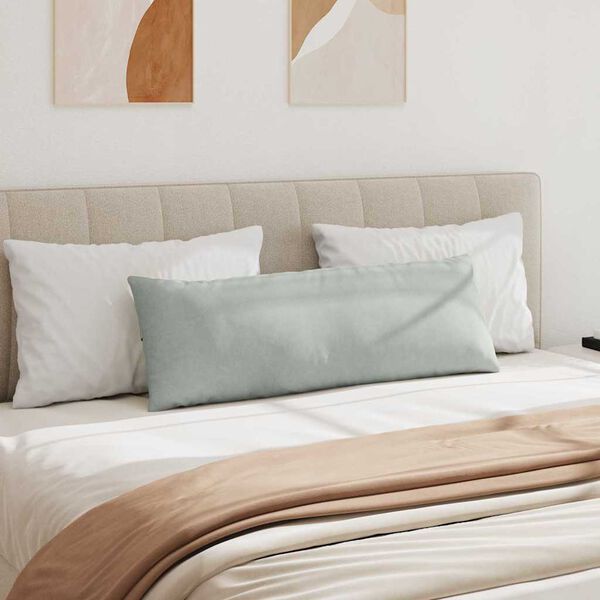 vidaXL Blazine za kavč 2 pcs Svetlo siva 120 x 40 cm Žametna tkanina