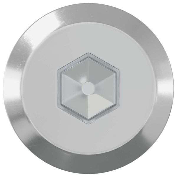 vidaXL Pohi&scaron;tveni vijaki 12 pcs srebrna M6 x 70 mm Jeklo