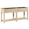 vidaXL Vrtni lonček s polico Bež 161 x 43 x 76,5 cm Trdna smreka