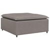 vidaXL Modularni kavč s podnožjem, sivo-rjav 100x100x48 cm