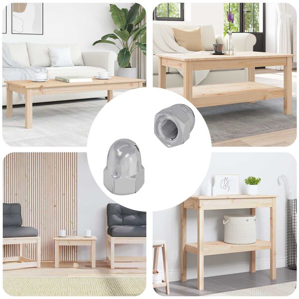 vidaXL Žirek 2 pcs srebrna M6 x 10 mm elezo