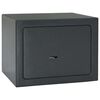vidaXL Kasa s ključavnico Temno siva 23 x 17 x 17 cm Jeklo
