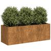 vidaXL Planter Rusty 120x40x40 cm Vremensko odporno jeklo