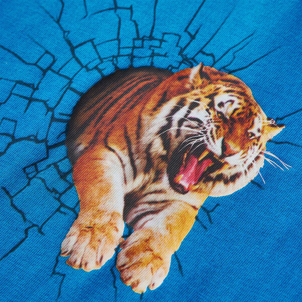 Prikazana fotografija izdelka 4 od 7