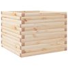 Natural_pine