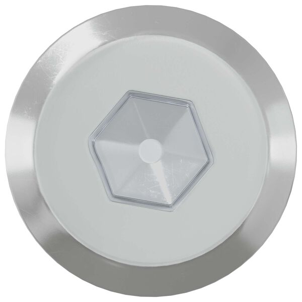 vidaXL Pohi&scaron;tveni vijaki 2 pcs srebrna M6 x 60 mm Jeklo