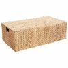 vidaXL Shranjevalna &scaron;katla Naravna 60 x 38 x 20 cm Vodna hijacinta