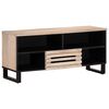 vidaXL TV omarica 100x34x46 cm trden mangov les