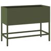 Olive_green