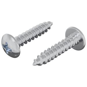vidaXL Leseni vijaki 2 kos Srebrna M4 x 20 mm Jeklo