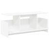 vidaXL TV stojalo 102 x 35 x 45 cm Bela Inženirski les