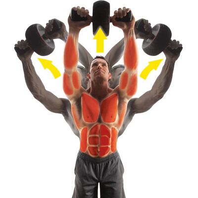 Iron Gym Naprava za oblikovanje trebušnih mišic "Speed Abs" IRG013