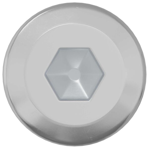 vidaXL Zaklepni vijak Enobarvno 2 pcs srebrna M6 x 12 mm Jeklo