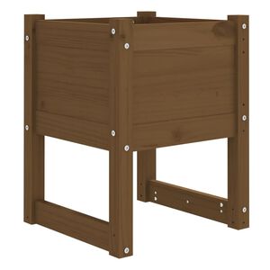vidaXL Visoka greda medeno rjava 40x40x52,5 cm trdna borovina
