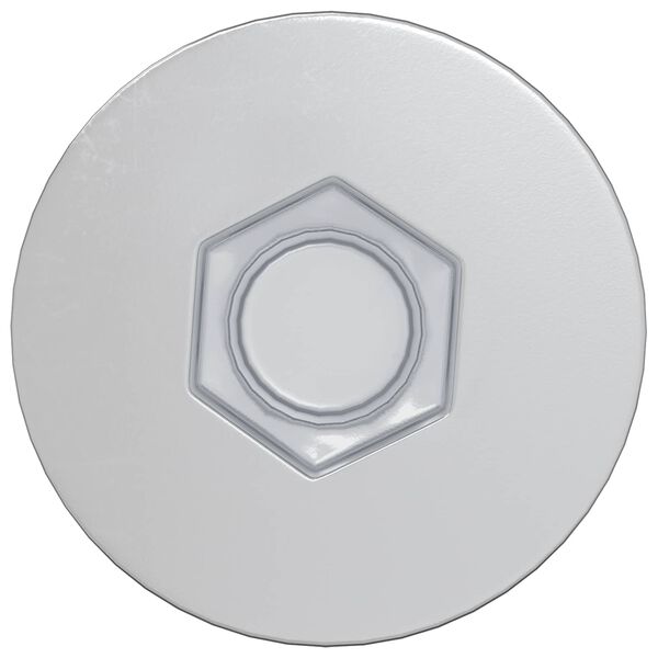 vidaXL Potrdilni vijaki 2 pcs srebrna &Oslash;7 x 50 mm Kovina