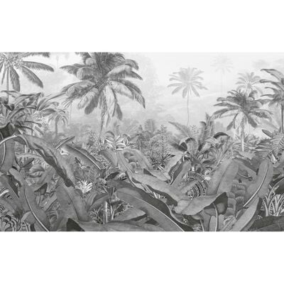 Komar Stenska slika Amazonia črna in bela 400x250 cm