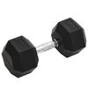 vidaXL Uteži 20 kg lito železo