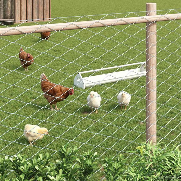 vidaXL Ograja iz verižne povezave Galvaniziran 2 x 10 m Steklo