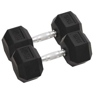 vidaXL Uteži 2 kosa 10 kg skupaj litega železa
