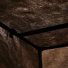 vidaXL Garderobna omara 75x50x160 cm rjava