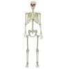 vidaXL Halloween skelet Bela 155 x 38.5 cm Plastika