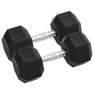 vidaXL Utež 2 kosa 12,5 kg skupaj litega železa
