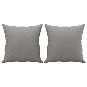 vidaXL Okrasna blazina 2 kosa svetlo siva 40x40 cm blago