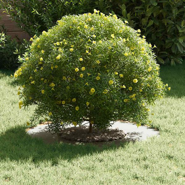 vidaXL primeren za ravne obroče dreves 5 pcs Bela &Oslash;30 / 60 cm Jeklo