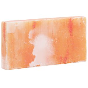 vidaXL Solni Kamni 10 kos Roza 20 x 2,5 x 10 cm Kamena sol