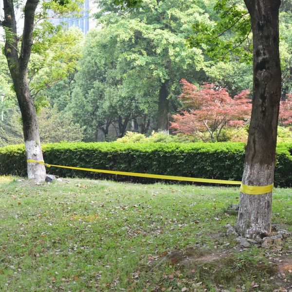 vidaXL Slackline vrv 15 m x 50 mm 150 kg rumene barve