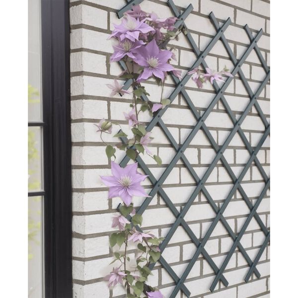 Nature Oporna mreža za rastline 50x150 cm PVC antracit